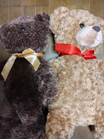 테디베어 봉제 인형 2개 세트 브라운 베이지