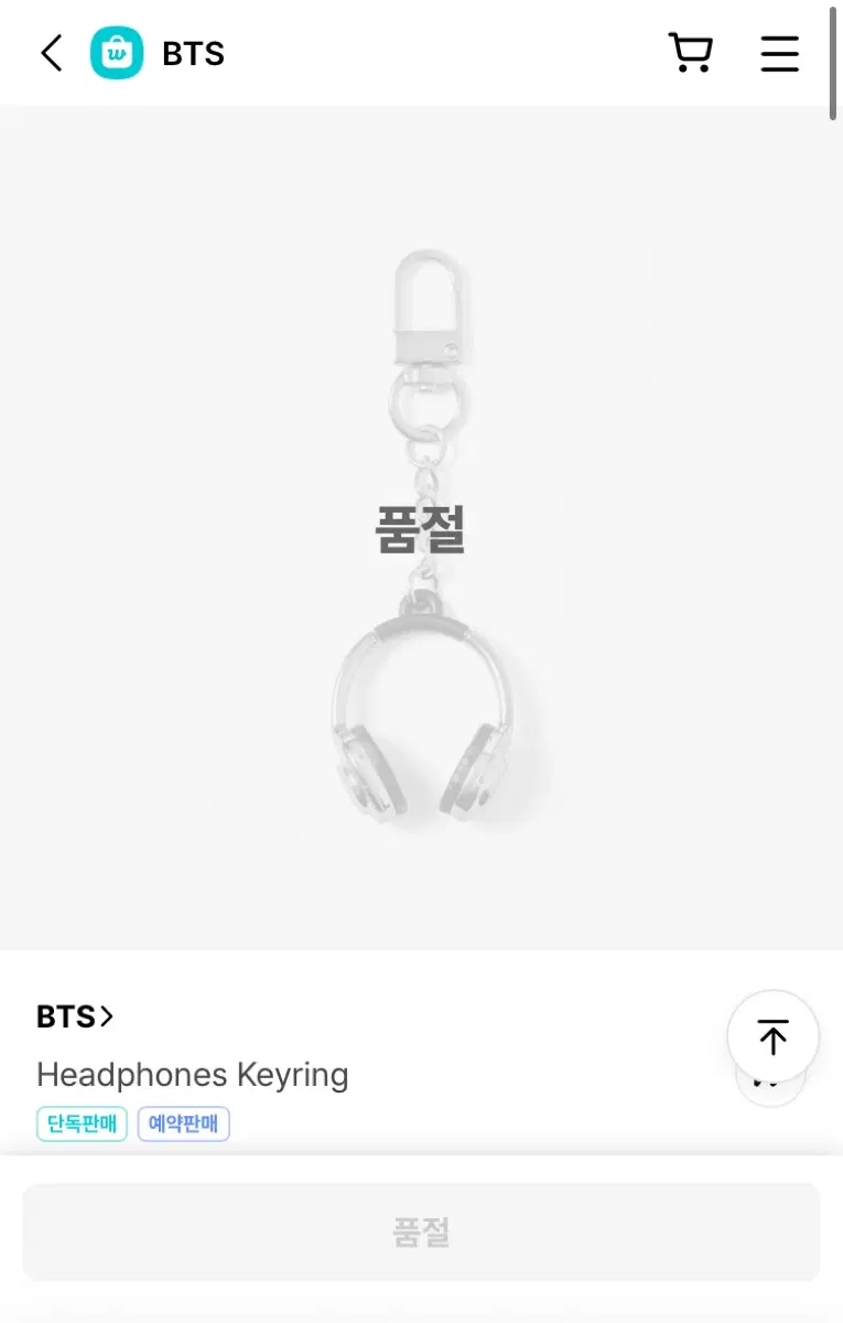 Bts 헤드폰 키링 미개봉