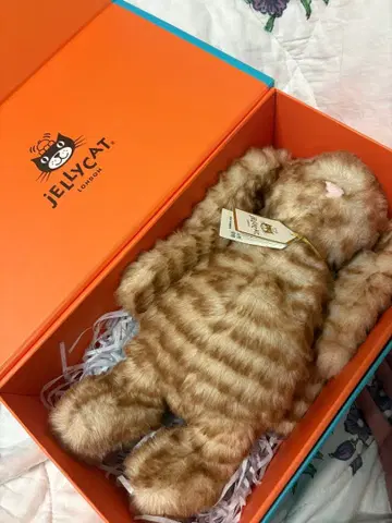 Jellycat Bashful Luxe Bunny Juniper 토끼