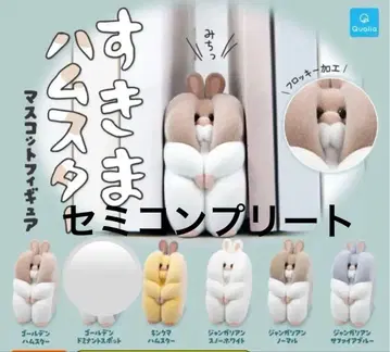 틈새 햄스터 세미 컴플리트