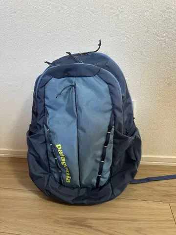 patagonia Refugio daypack 26L