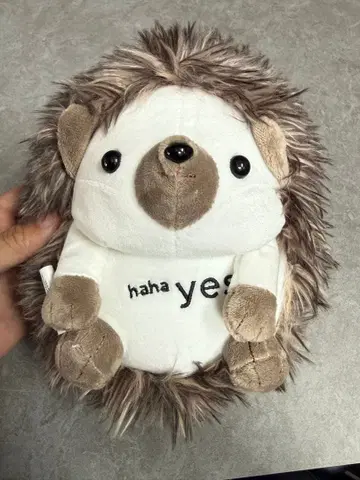 고슴도치 봉제 인형 haha yes 테슬라