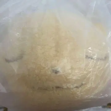 피카츄 포근봉제인형 A상