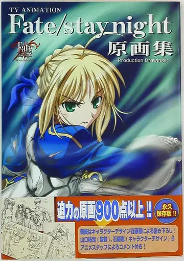 일신사 DNA 미디어북스 TV 애니메이션 Fate/stay night 원화집 (오비 포함)