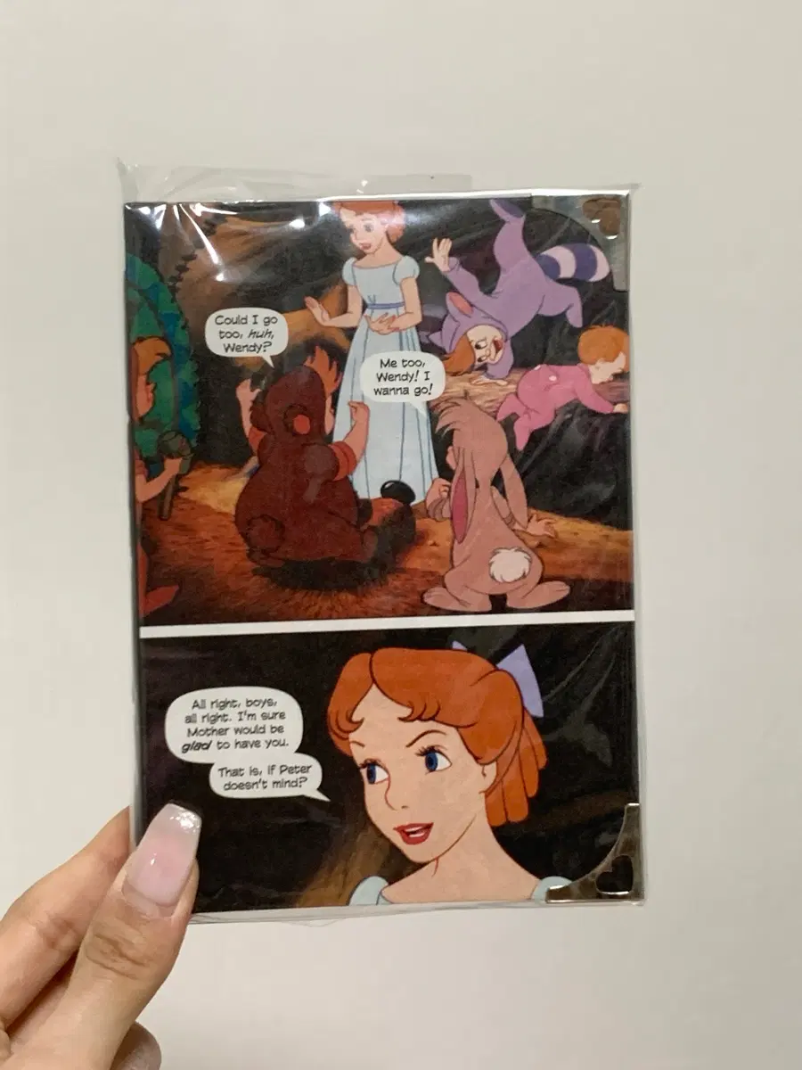 디즈니 피터팬 웬디 다이어리 무지 노트 북바인딩
