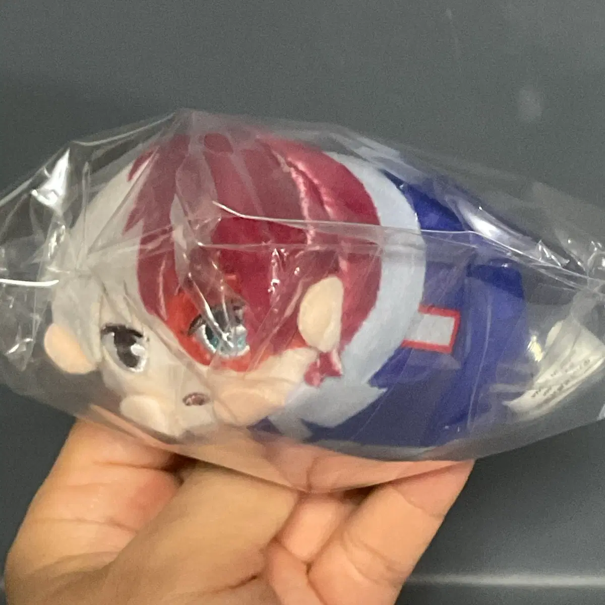미사용 나히아 히로아카 쇼토 포테코로 마스코트 키링