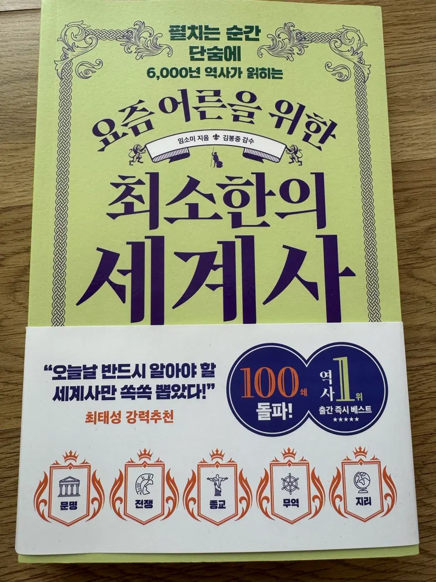 요즘 어른을 위한 최소한의 세계사 책