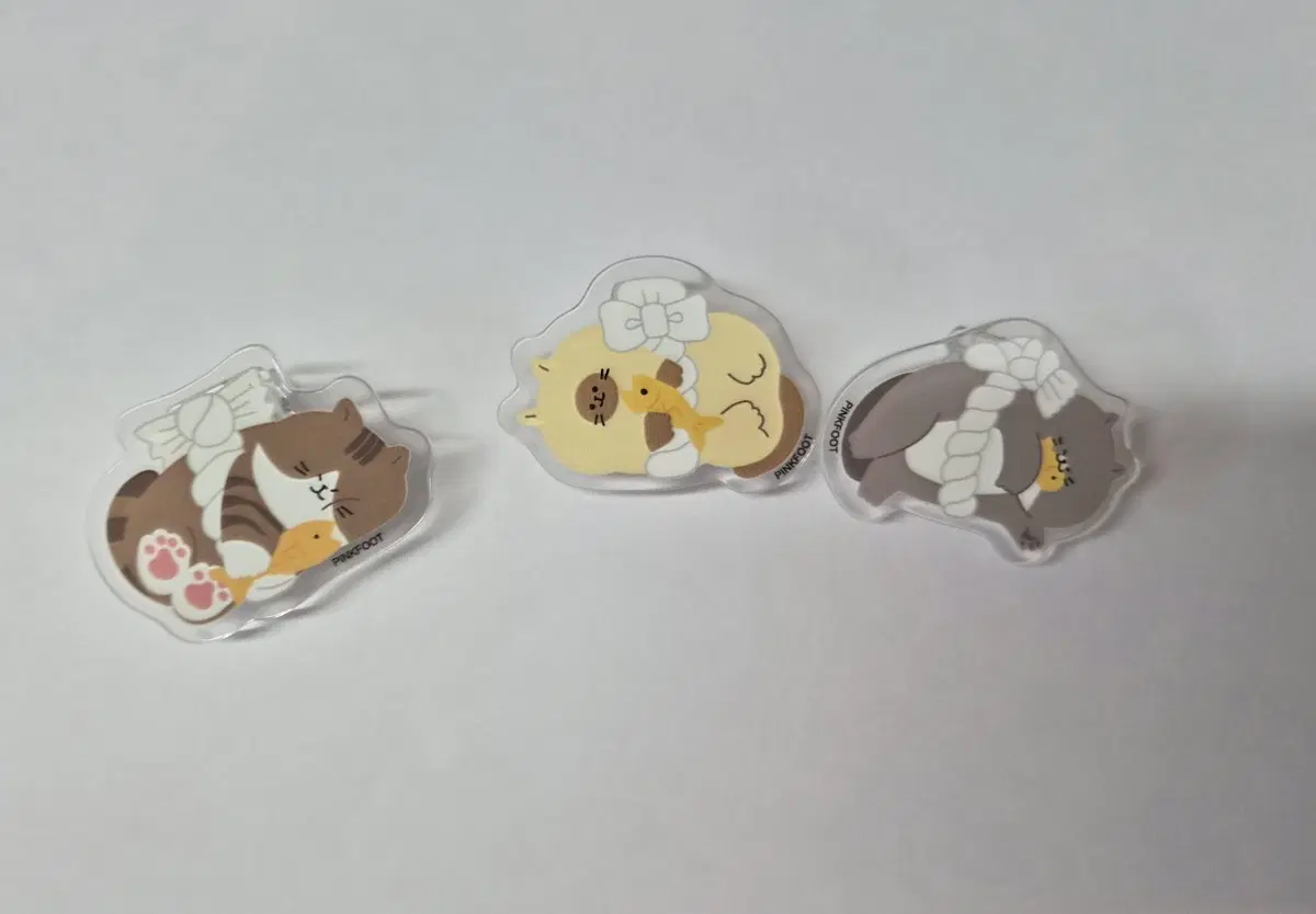 고양이 아크릴 집게 3종 세트