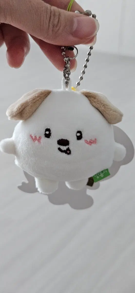 미니 멍룡이