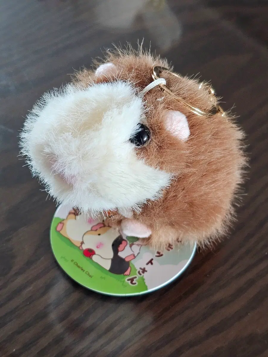 모루못토상 기니 인형