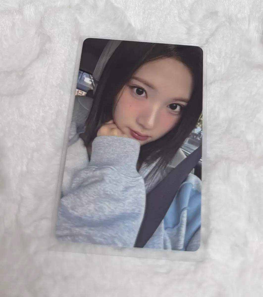 하츠투하츠 하투하 지우 포커스 뮤직아트 포카 양도 판매