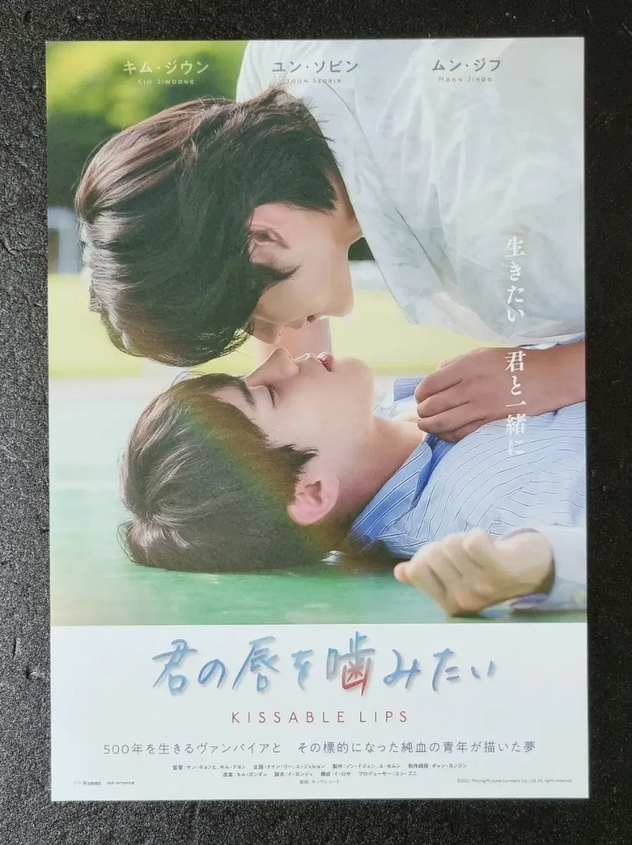 [영화팜플렛] 깨물고싶은 (2022) 김지웅 윤서빈 제베원 영화전단지