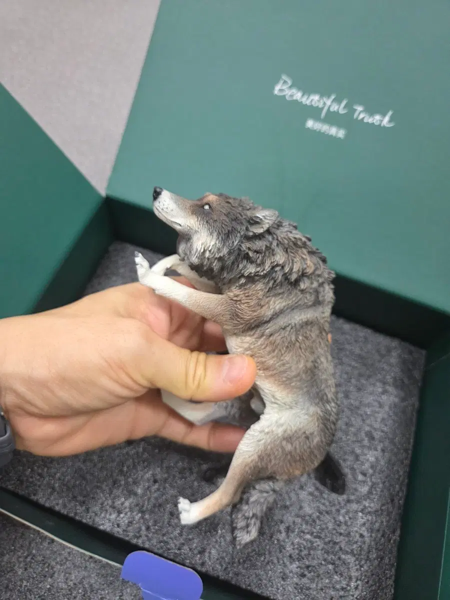 JXK - 1/6 North American Gray Wolf 늑대 다크브라운