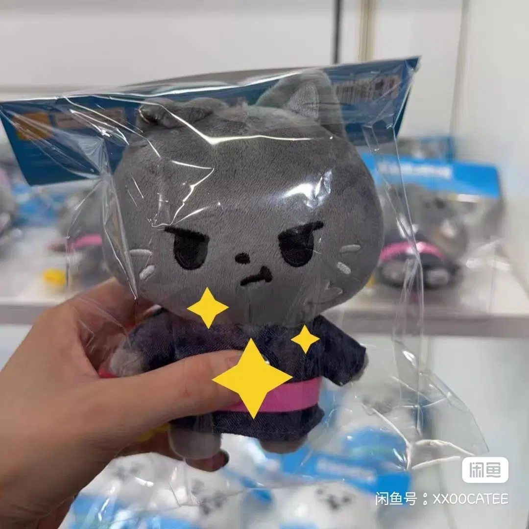 예판 엔하이픈 일본 팝업 인형