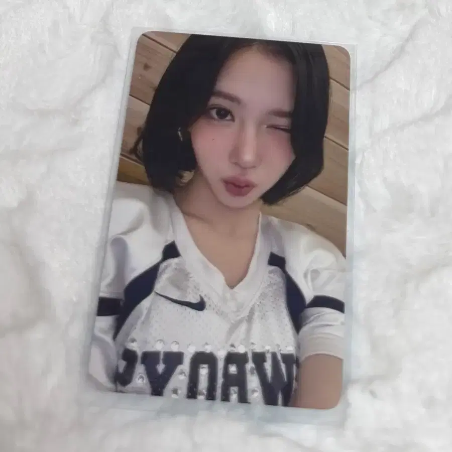 하츠투하츠 하투하 지우 스타일 에버라인 포카 양도 판매