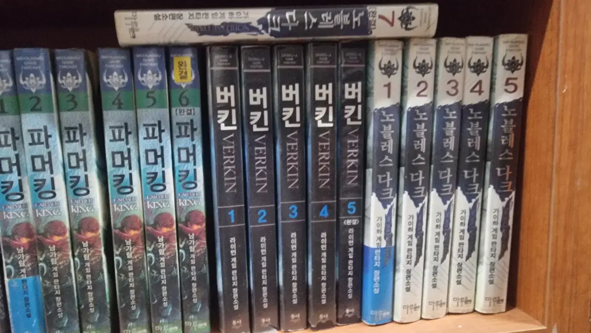 버킨 1-5 완 라이먼 게임판타지 소설