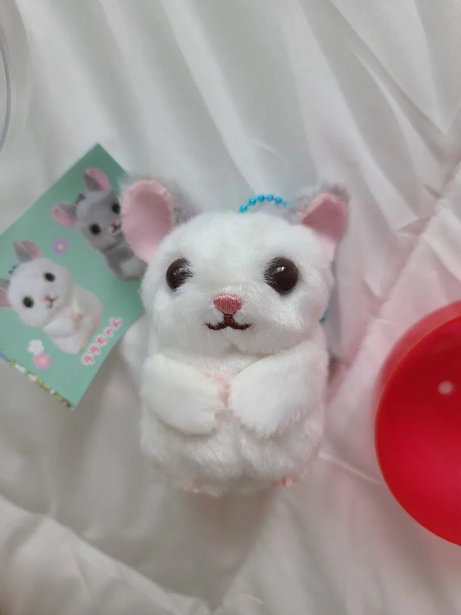 친칠라 라라짱 인형 가챠