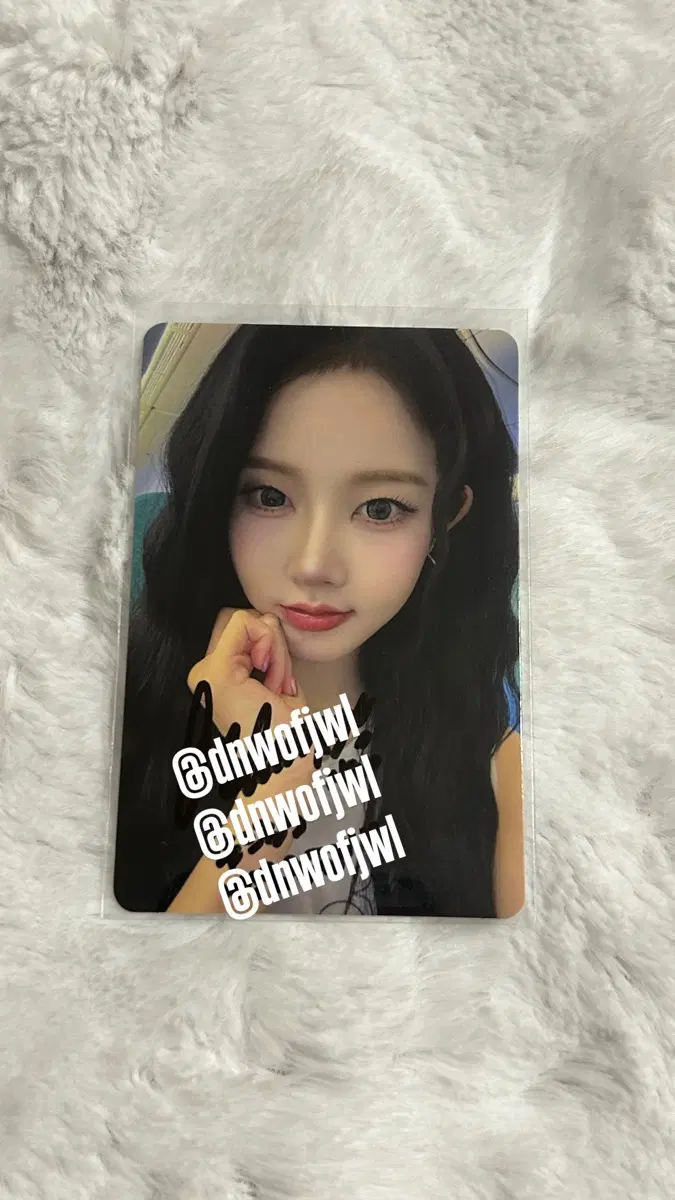 스테이씨 시은 싸인포카