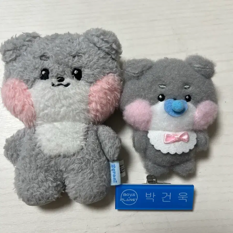 거니니 (제로베이스원 박건욱 인형)