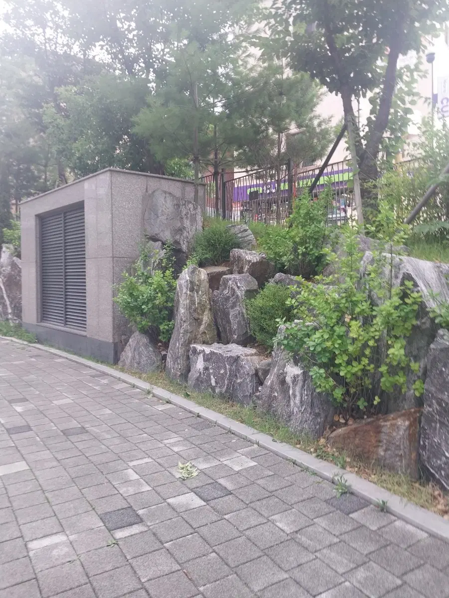 포고 케리가능?