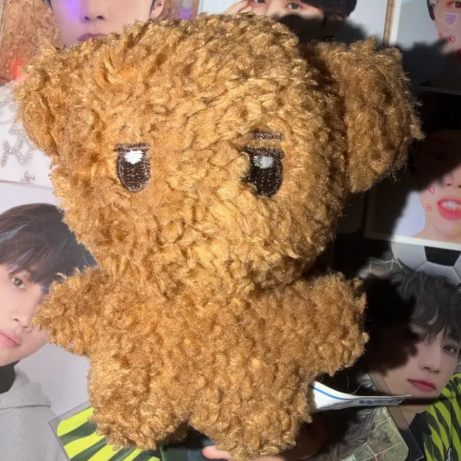더보이즈 tbz 선우 썬꼬미 인형 양도합니다!!!