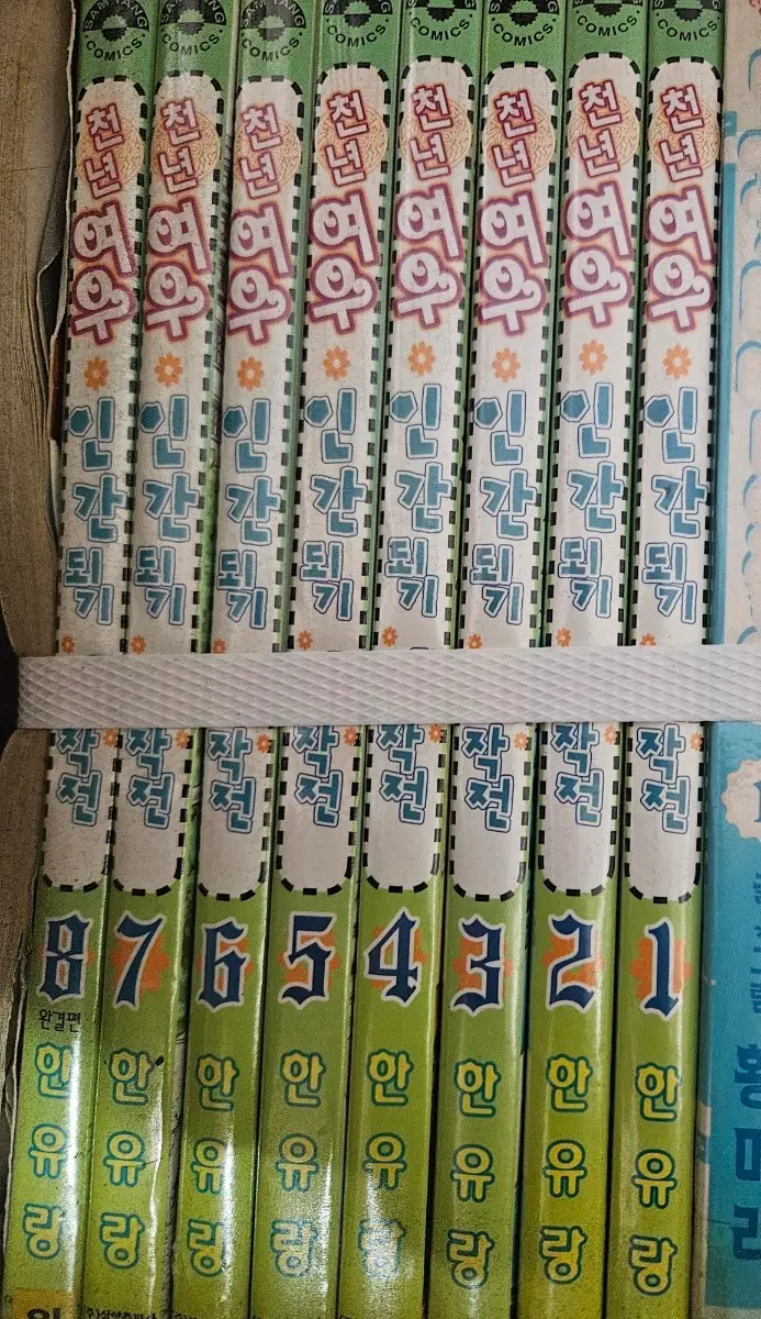 천년여우인간되기대작전1-8완