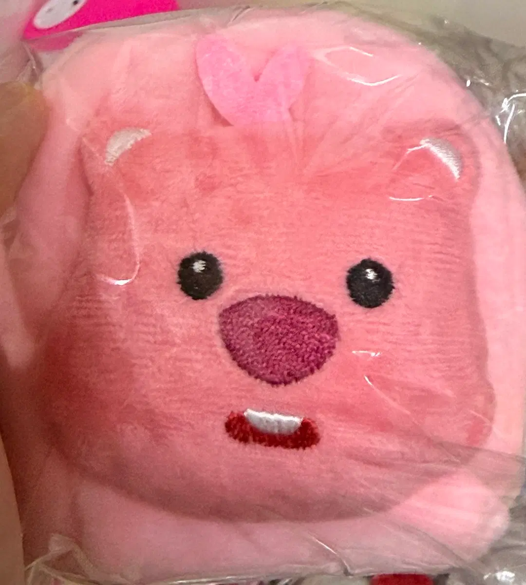 루피 동전파우치