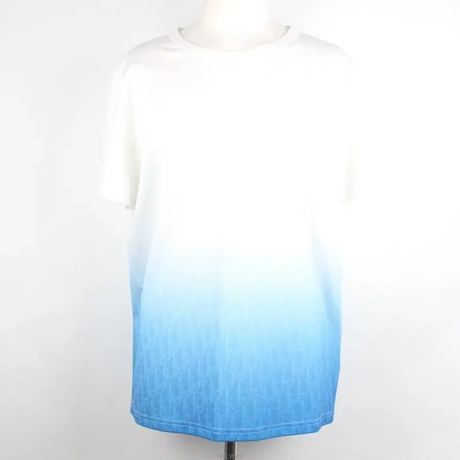 디올 오블리크 그라데이션 반팔 티셔츠 XL