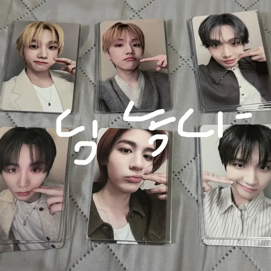 보넥도 모찌피스 포카 양도