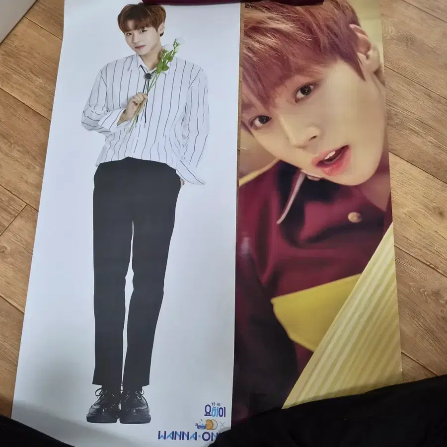 박지훈 요하이 지마켓 포스터