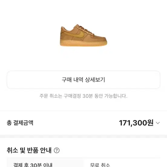 나이키 된장포스 250