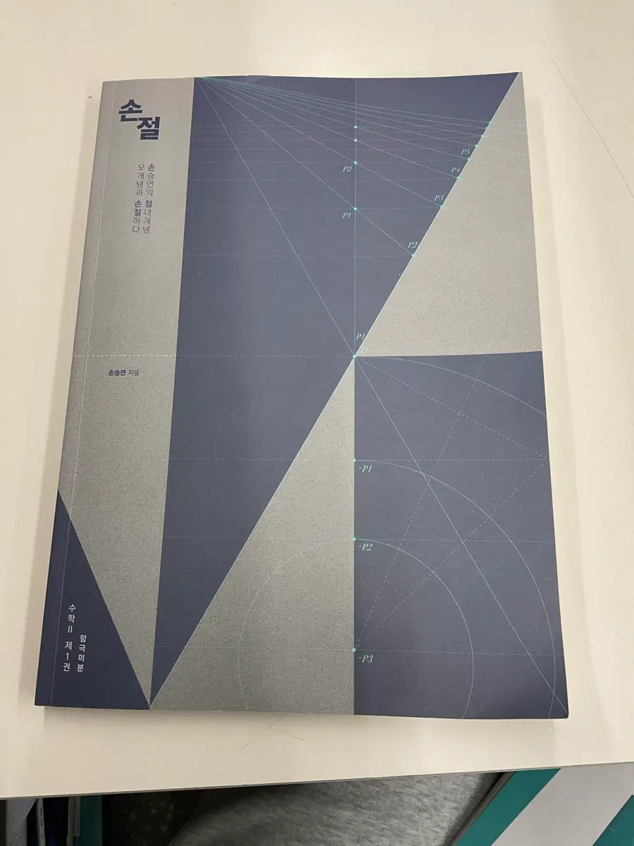 손승연 수1 1권과 ㅈ간지