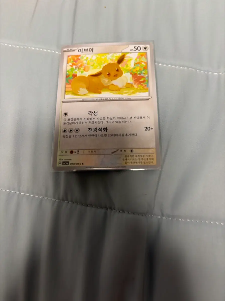 포켓몬카드 이브이 팝니디