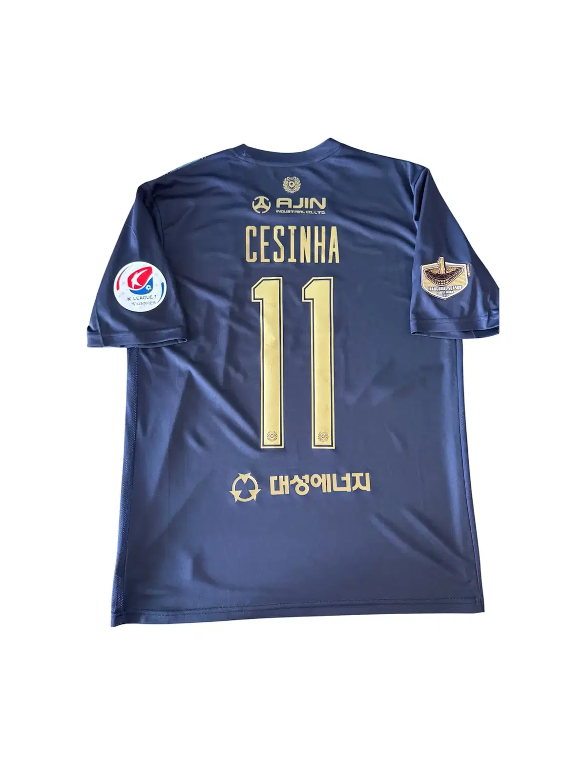 [L/100] 2019 대구FC 써드 세징야
