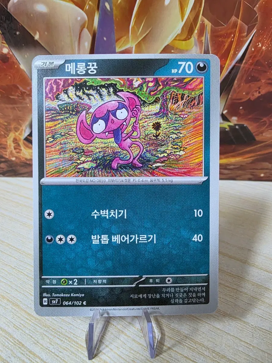 포켓못카드 메롱꿍 코미야 토모카즈 일러