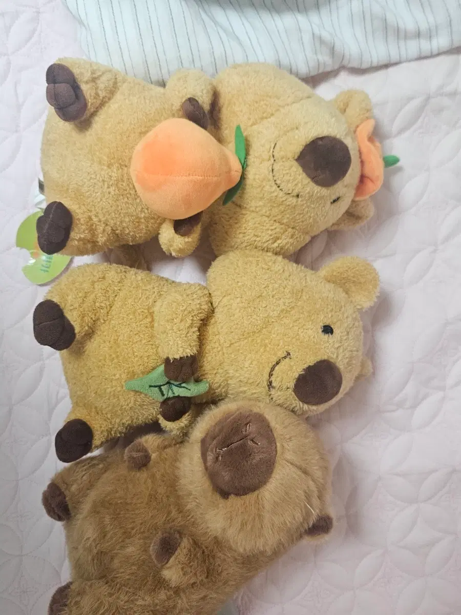 [나눔] 인형