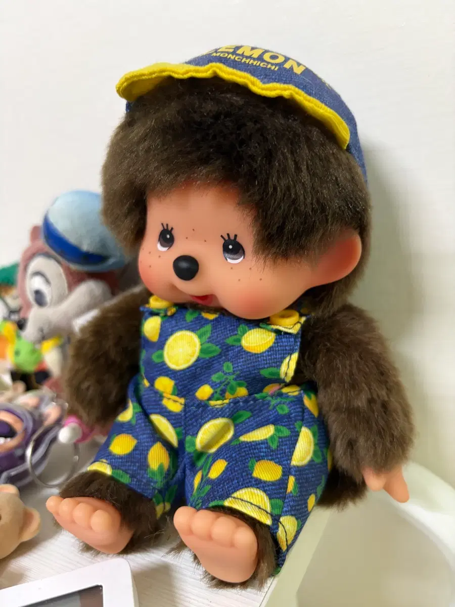 몬치치 레몬 희귀