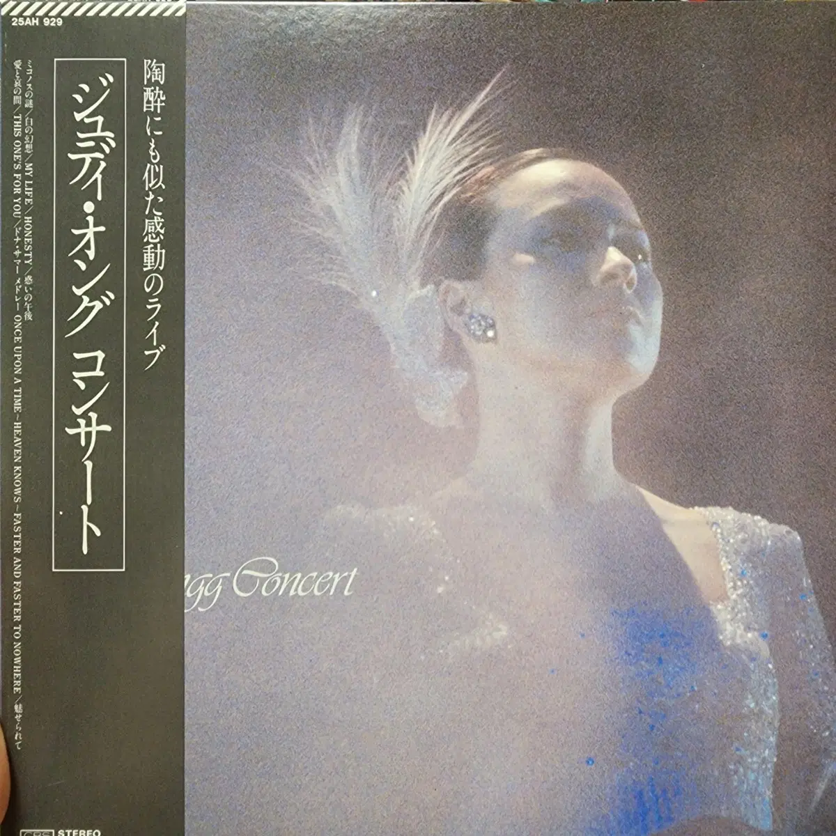 견본반 주디 옹 Judy Ongg LIVE Concert LP