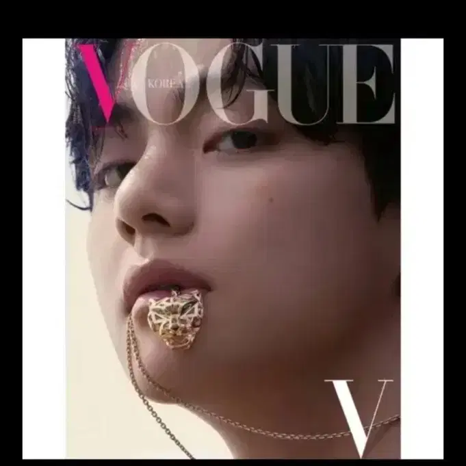 Bts-v 보그 잡지 (새제품)