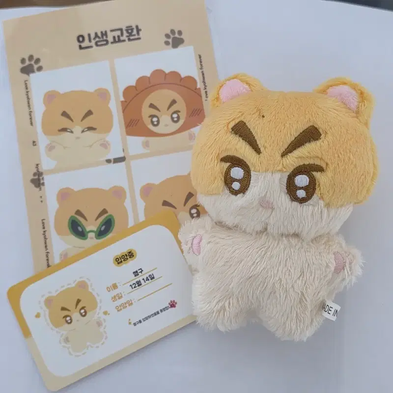구교환 햄구 인형