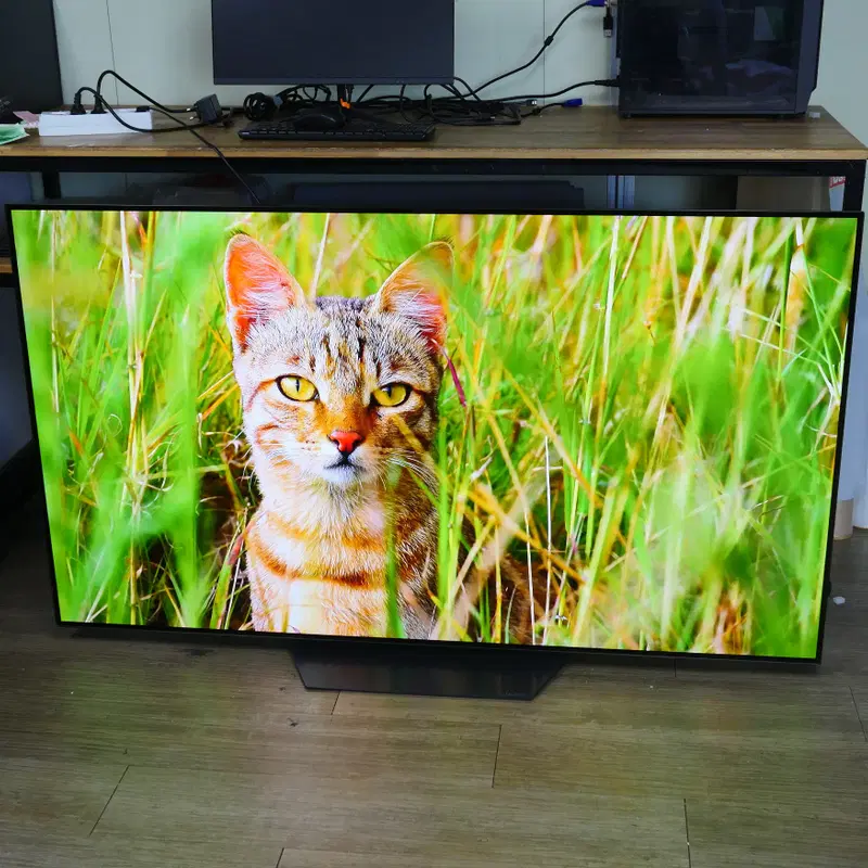 엘지 65인치 올레드 TV 스탠드형 OLED65B2FNA