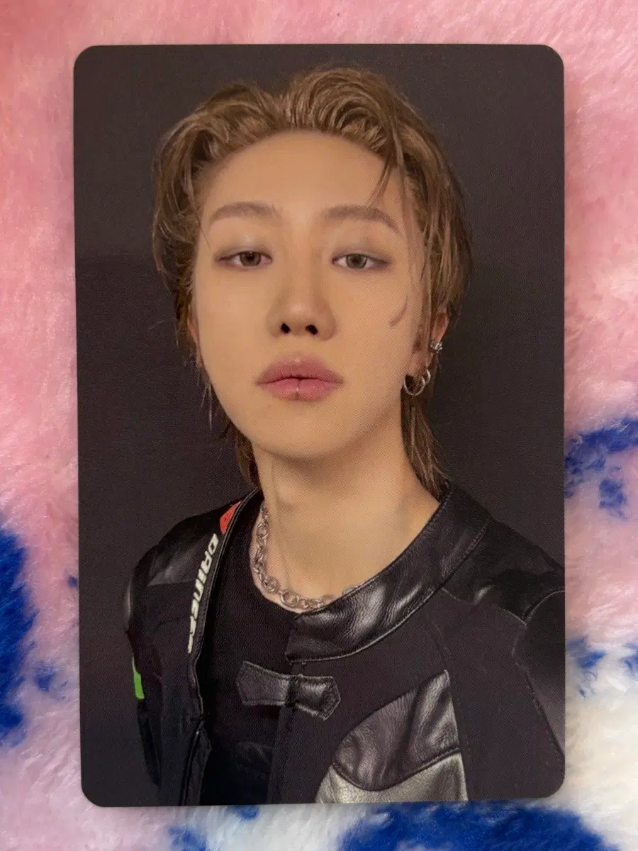 세븐틴 happy burstday 이즈위 3차 C 디에잇 포카