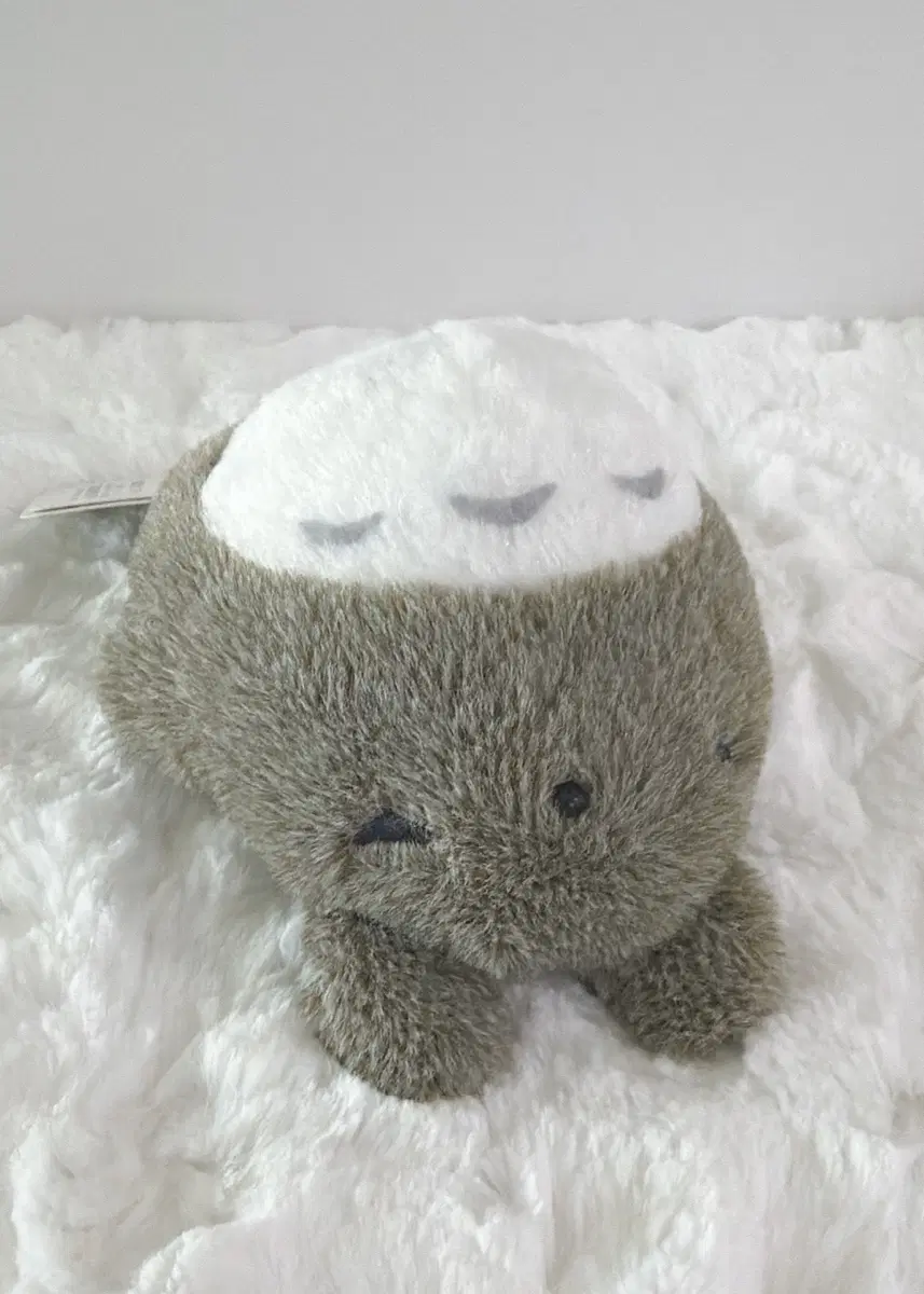 지브리 잠자는 토토로 인형