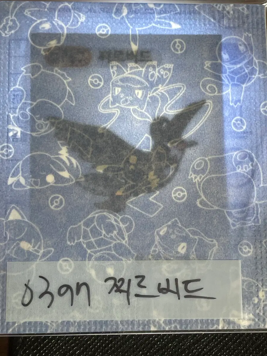 포켓몬 미개봉 띠부씰 찌르버드