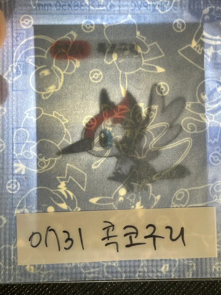 포켓몬 미개봉 띠부씰 콕코구리