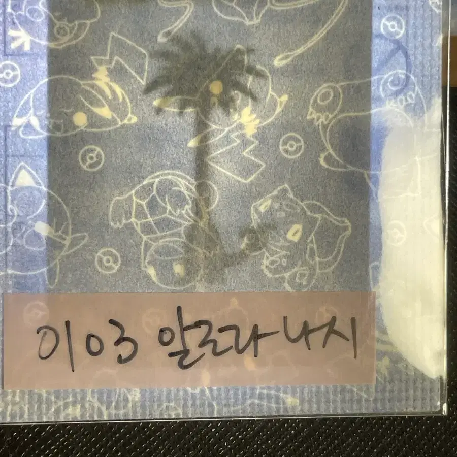 포켓몬 미개봉 띠부씰 알로라 나시
