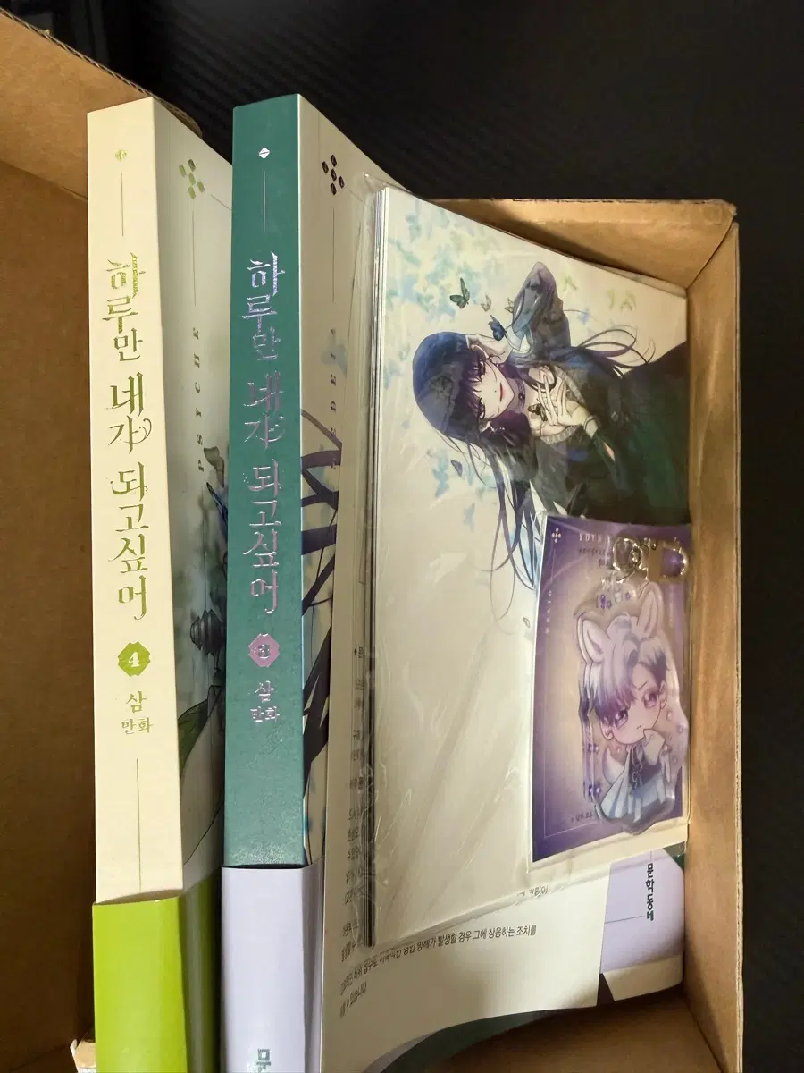 하루만 네가 되고 싶어 3+4권 합본 세트