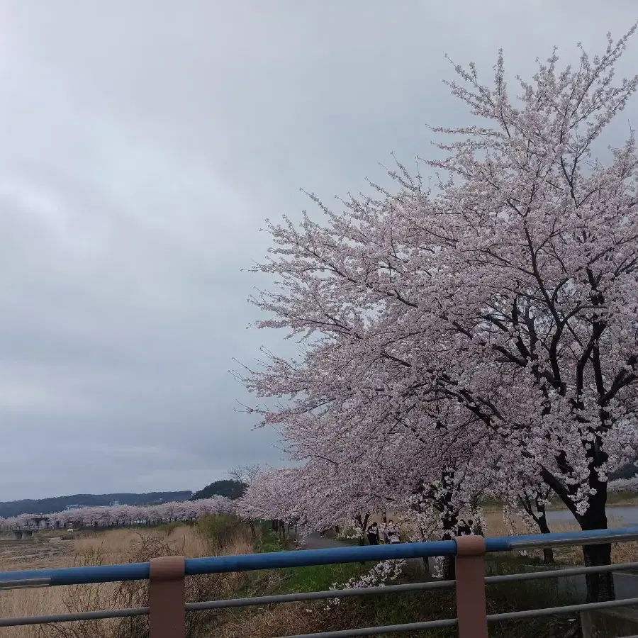덤)연준 노레이블즈 파트02 미개봉 앨범 (판완)