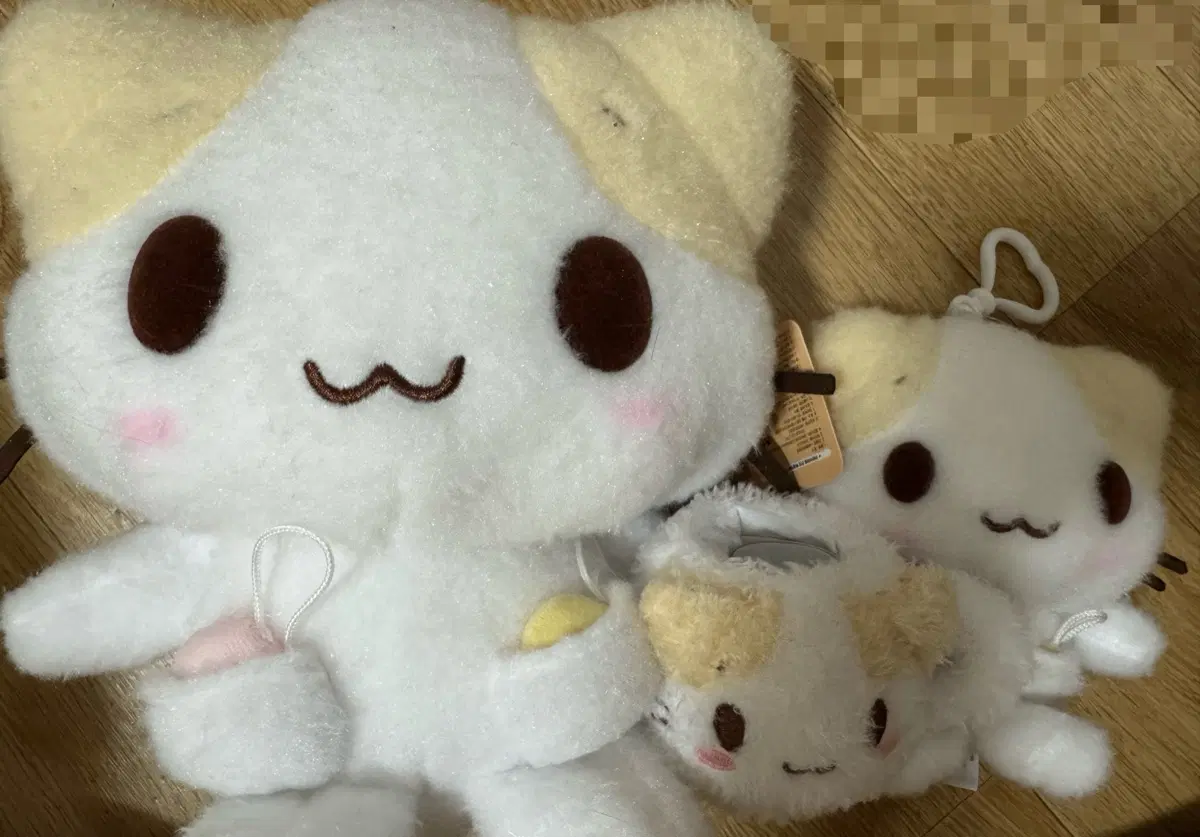 마슈마로 인형 일괄