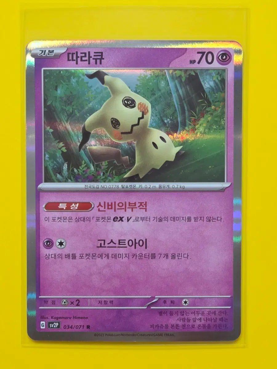 포켓몬카드 따라큐 R